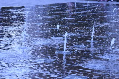 DSC_1620 (Large).JPG